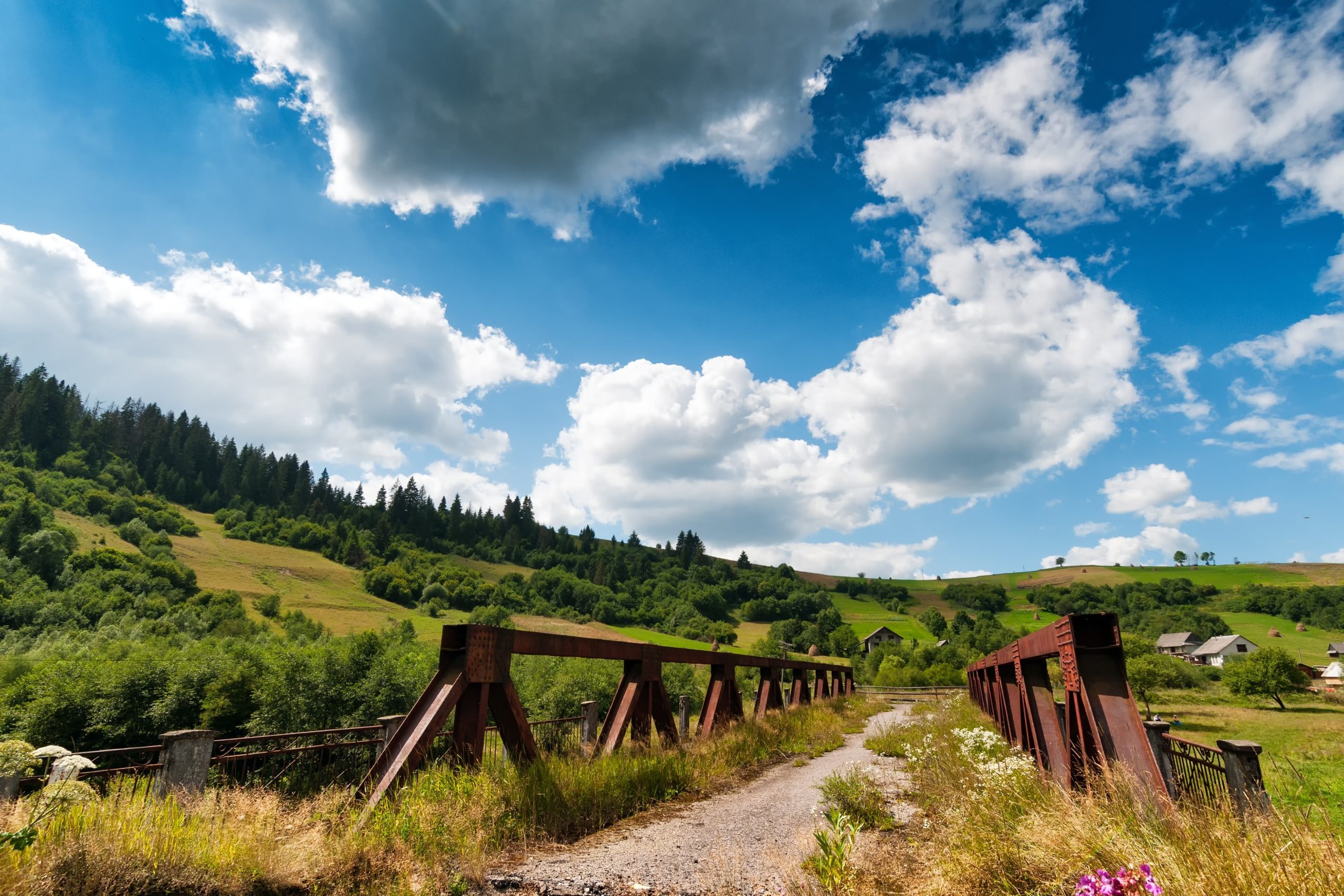 Software Development in Ukraine