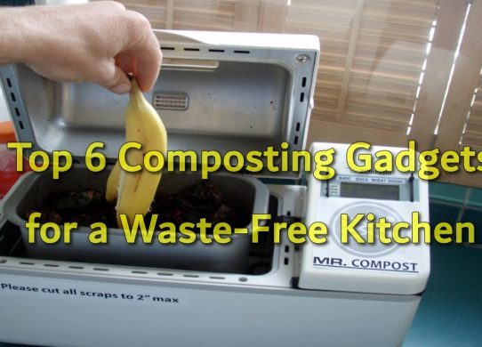 Top 6 Composting Gadgets for a Waste-Free Kitchen