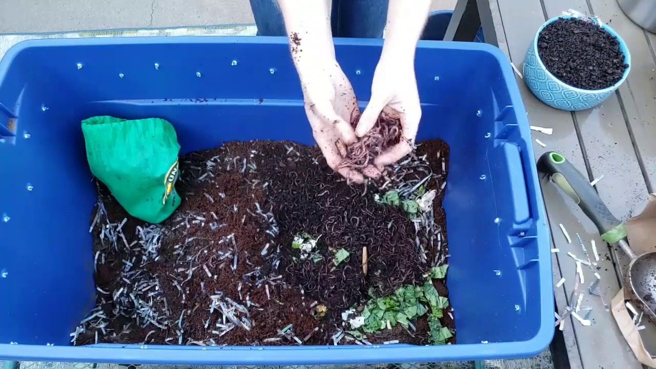 Worm Composting Bin